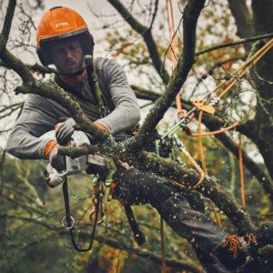 STIHL GTA 40 mini tronçonneuse coupe-branches à batterie – Image 7